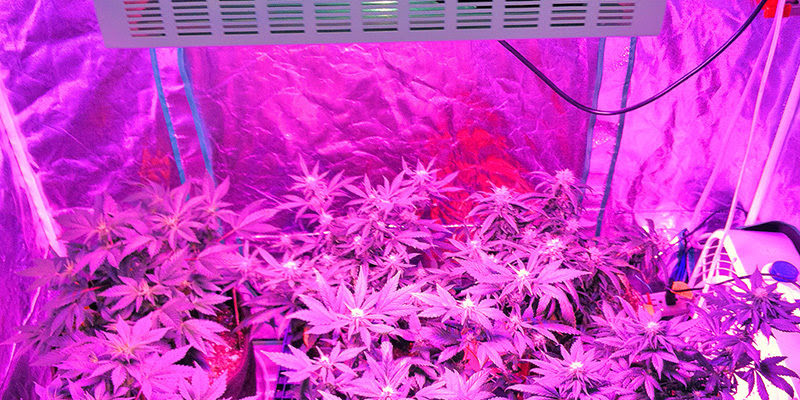 Only LED's Create Hash Tips | All blogroll - The ...