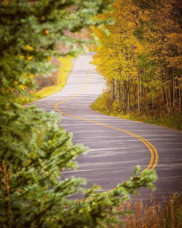 مدينة أسبن الأمريكية 