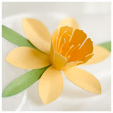 Download 3D Flowers SVG Kit - $6.99 : SVG Files for Cricut ...