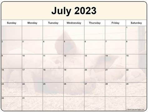 Moms you are cute and your calendar should be too! collection of july 2023 photo calendars with image filters
