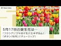 【印刷可能】 5月17日 誕生��� 265610-5月17日 誕生花 色