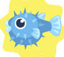 blowfish blowfish