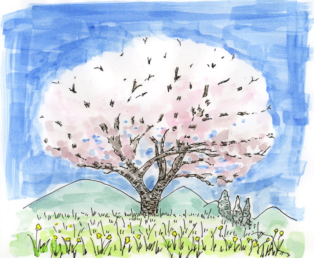 最も選択された 色鉛筆 桜の 木 イラスト 簡単 手書き Apixpixnem