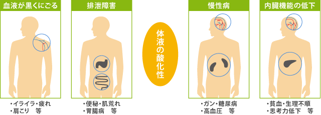 血液浄化作用 紀州梅効能研究会 梅 梅干 梅リグナン
