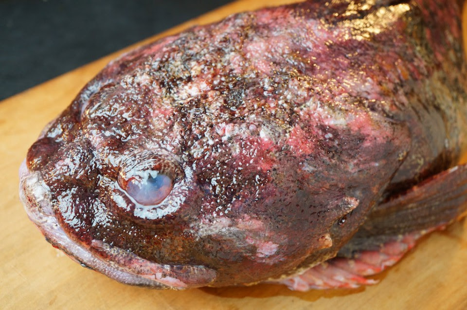 根室産 真カジカ 亀尾鮮魚店