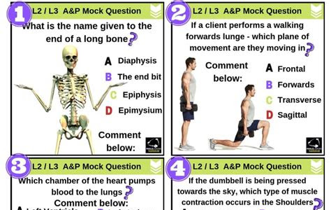 Link Download anatomy test questions iPad Pro PDF