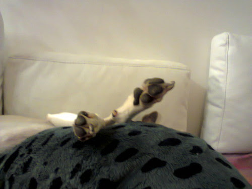 Foto0043