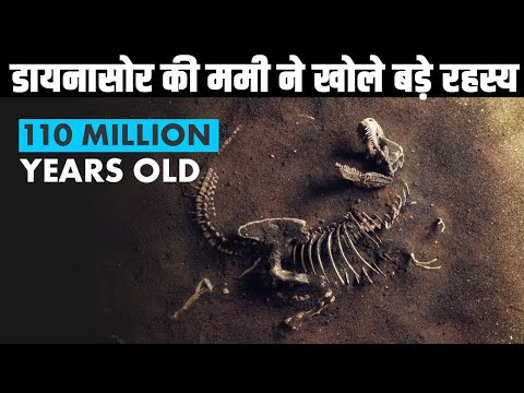 चित्र