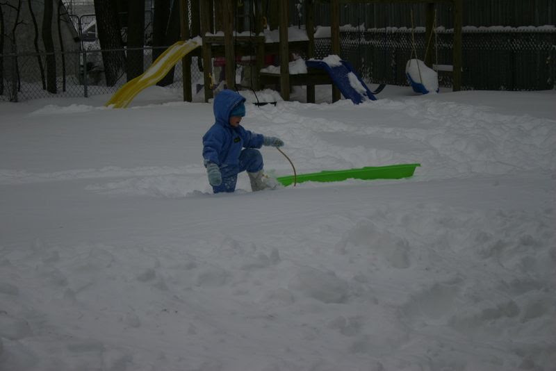  photo IMG_0959_zpsc7a7e74d.jpg