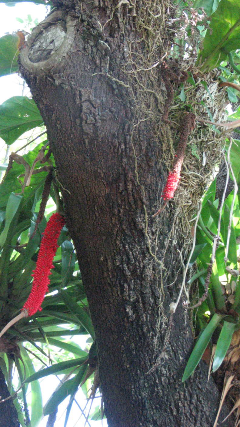 Mysterious Things