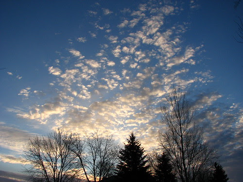 Morning Sky