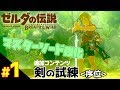 [最も選択された] マスターソード 強化 難しい 333596-マスターソード 強化 難しい