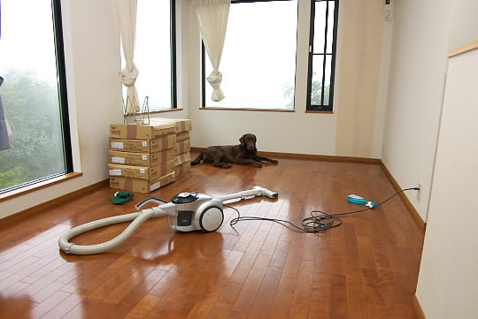 犬部屋のカーペット敷き りゅうの犬小屋