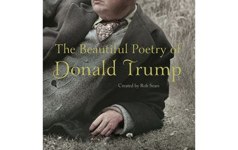 Read Online The Beautiful Poetry of Donald Trump Kobo PDF