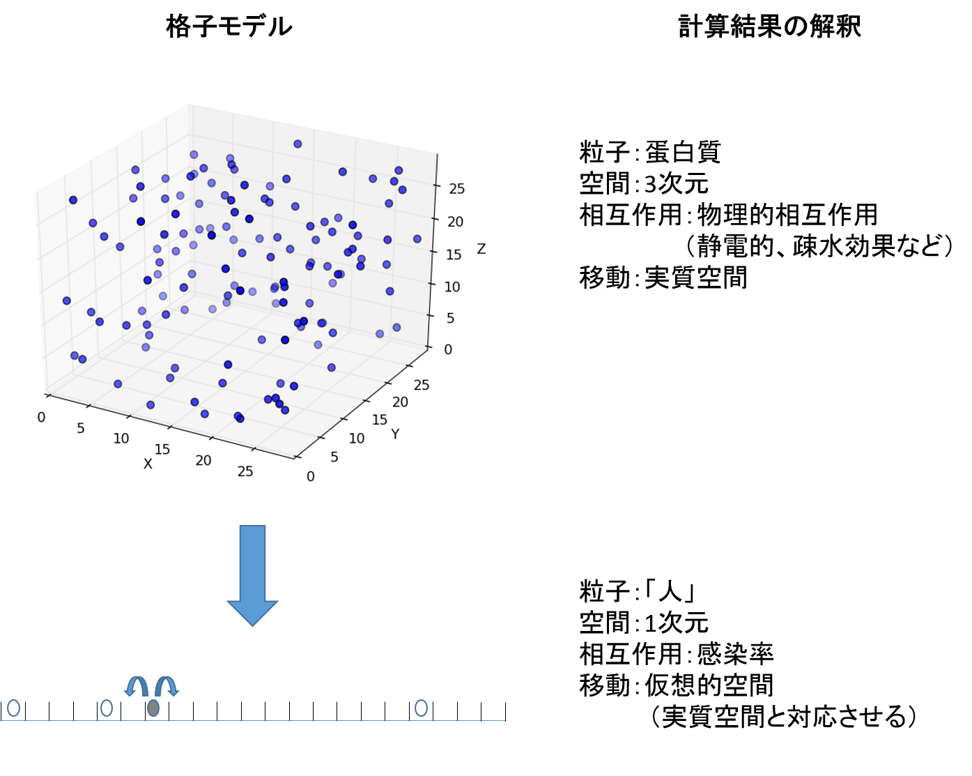年8月18日リリース Stochastic Modeling Of The Effects Of Human Mobility Restriction And Viral Infection Characteristics On The Spread Of Covid 19 ロックダウンによるコロナウイルス感染拡大抑制効果の相対的な予測に向けて 年度 プレスリリース