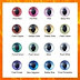 cat eye color chart zacharykruwkim - cierra carter colour and pattern charts cat eye colors cat colors eye | kitten eye color change chart