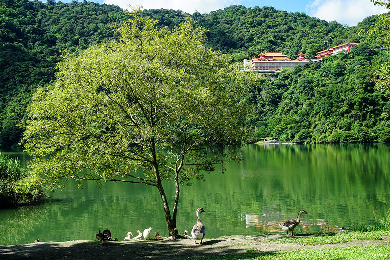 DSC00404 DSC00404