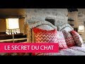 [Le plus partagé! √] le secret du chat 103277-Le secret du chateau acteur