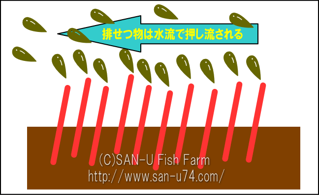 最新技術 3