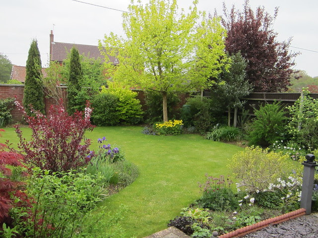 spring garden May 2013