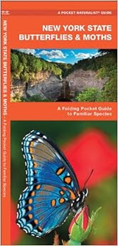 New York State Butterflies Amp Moths A Folding Pocket Guide