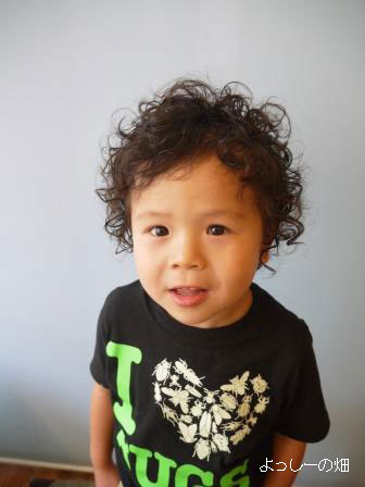 子供の髪型 キッズカット 男の子 ミディアム よっしーの畑