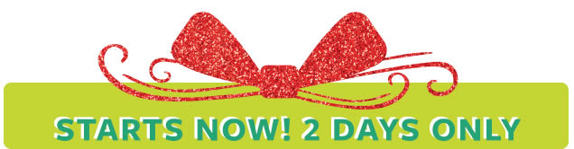 Starts now! 2 Days only