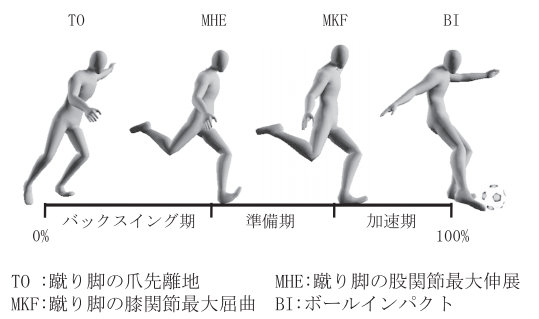 インステップキックの科学 フィジオフィット