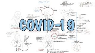 Covid 19 Overview
