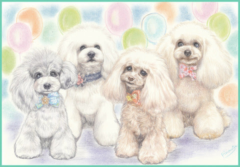 ふわふわもこもこトイプーちゃん 似顔絵イラスト あとりえピノコ