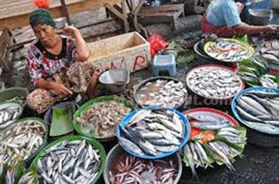 Ambon, Malukupost.com - Harga berbagai jenis ikan segar seperti cakalang, kawalinya, momar maupun tatihu yang ditawarkan para pedagang di pasar ikan Arumbai, kawasan Mardika, Kota Ambon, masih mahal. Pemantauan di pasar ikan Arumbai, Jumat (8/9), terlihat para pedagang menawarkan ikan cakalang segar dengan harga bervariasi Rp60.000 hingga Rp90.000/ekor tergantung ukuran.