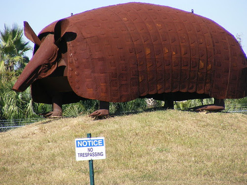 DSCF0261.JPG