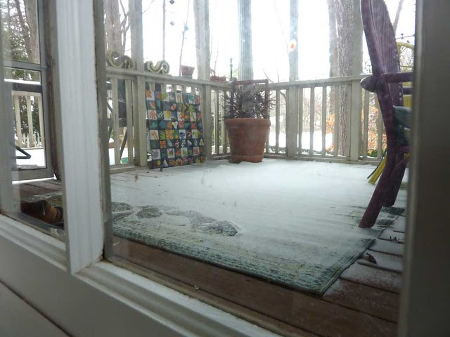 P1060110-2011-01-10-Snow-Atlanta-Fine-Snow-Inside-Screen