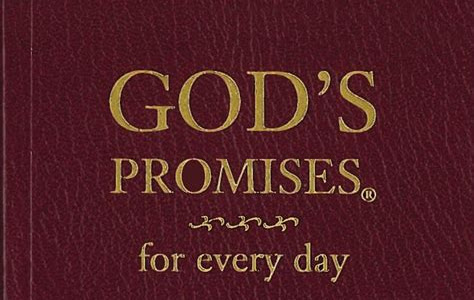 Download Link God's Promises for Every Day PDF Ebook online PDF