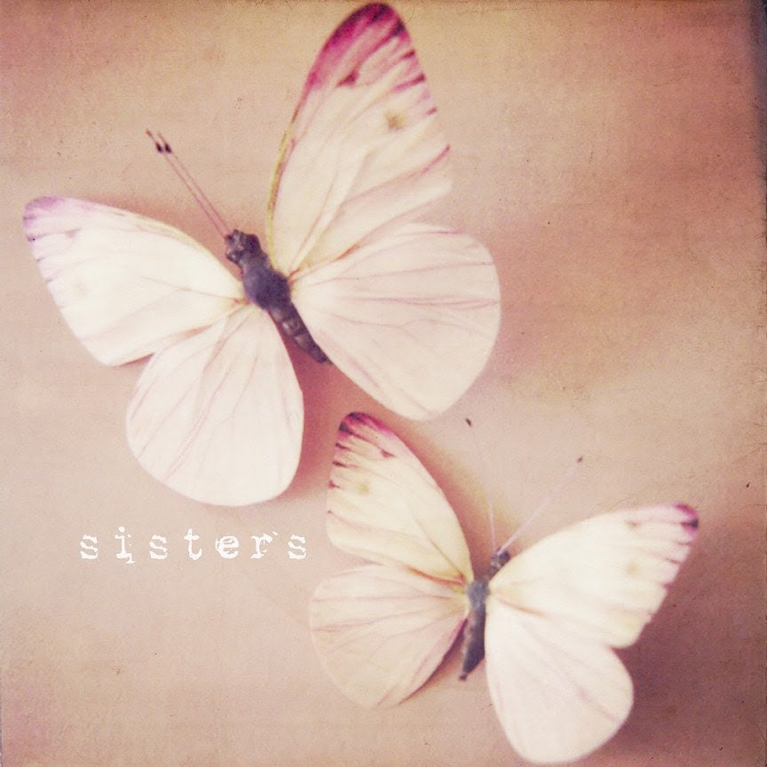 FREE SHIPPING sisters - 8x8 butterfly polaroid photo, dusky pink, two pink butterflies, friendship, typography, texture, shabby chic, twins - SusannahTucker