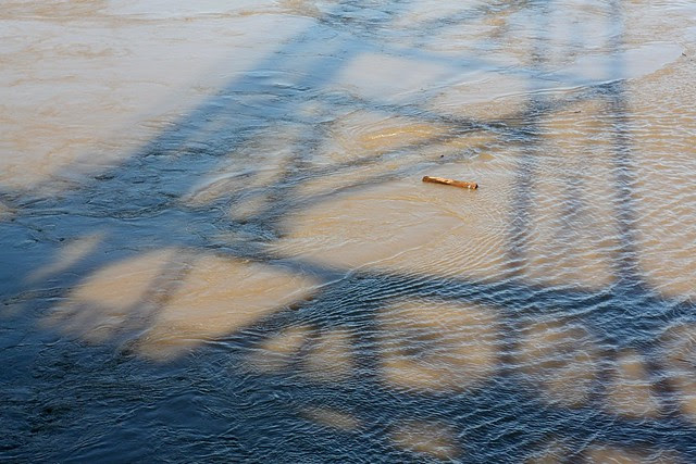 high water, willamette river