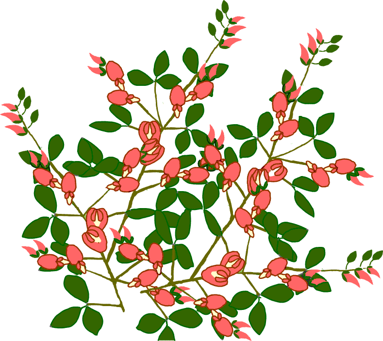 秋 秋景色 秋の花 イラスト 無料