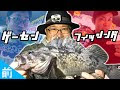 [最も人気のある！] ひもq 釣り 175862-ひもq 釣り アジ