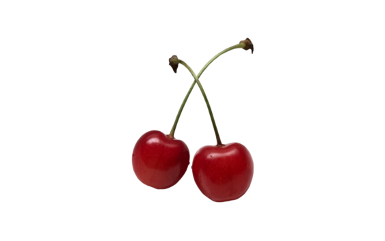 さくらんぼ サクランボ チェリー 桜桃 Cherry 無料画像 ベジタデジタ