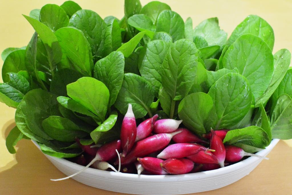 小松菜を間引いて食べる 野菜の花 札幌圏でつくる 食べる 料理する るるる キッチンガーデンくらぶ