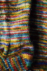 0109GZUCKERfamvar_  122