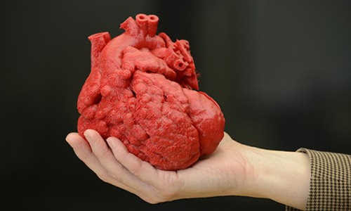 heart