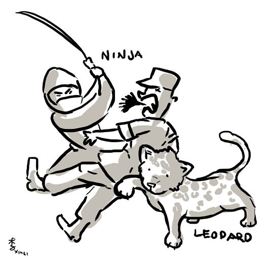 Ninja and Leopard