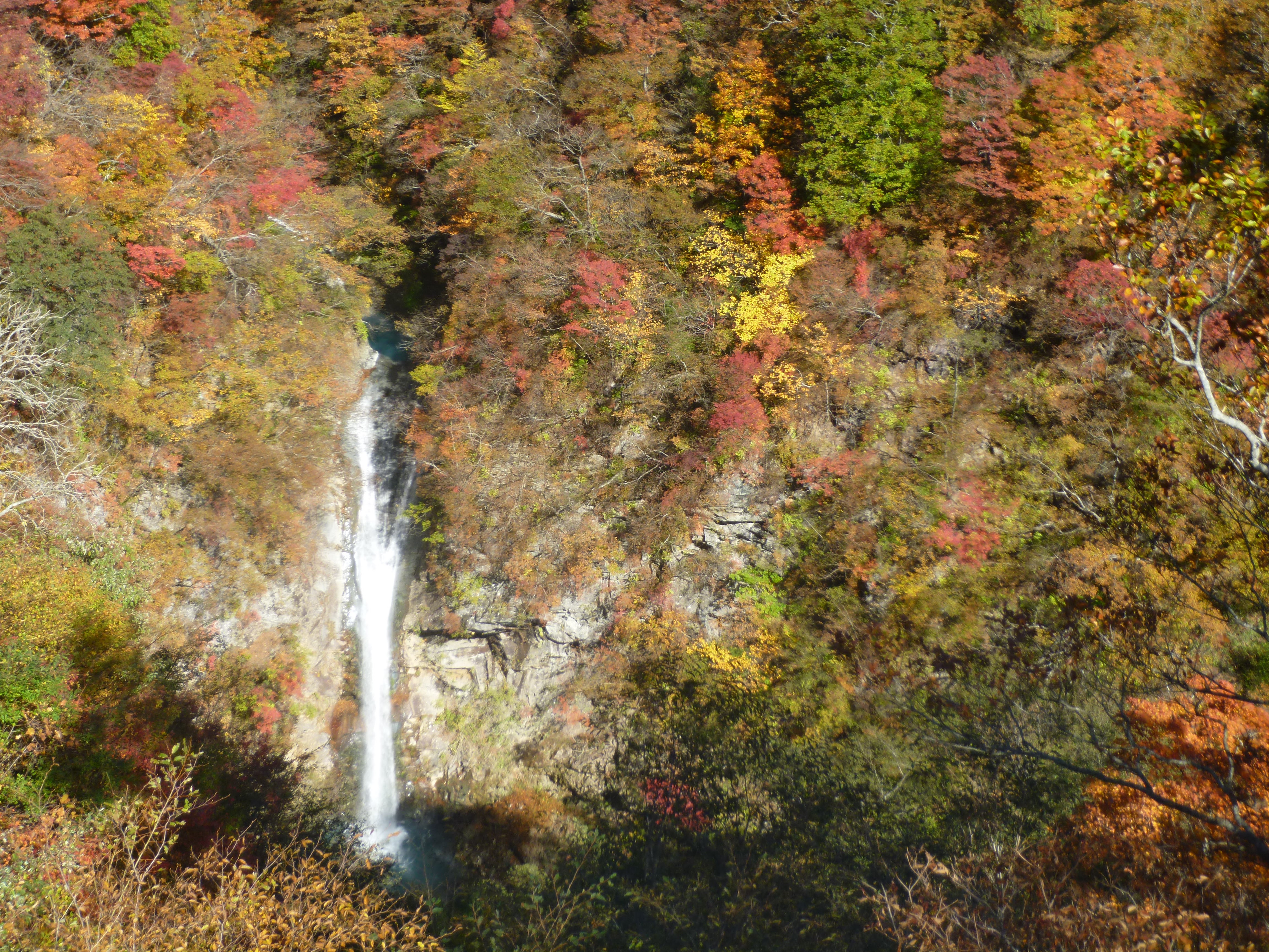 アクティブ レンジャー日記 関東地区 那須 登山道 紅葉情報 茶臼岳 那須高原