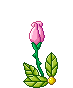 Gif de flor