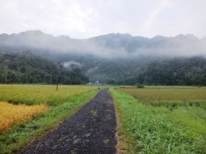 Jorong Solok dari Kejauhan. Gambar diambil dari arah Ladang Darek. Tepatnya di Pasawangan.Cantikkan tuan..?