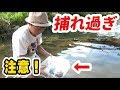 200以上 魚キラー 作り方 292074-魚キラー 作り方