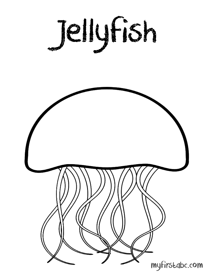 Jellyfish coloring pages to download and print for free