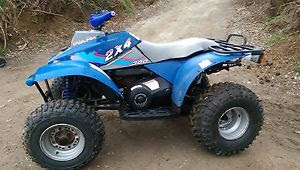 Atv And Utv Com Polaris 300 2x4 Agri Reg V5 Present Needs Minor Attention