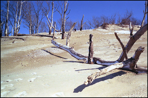 Warren Dunes No. 2